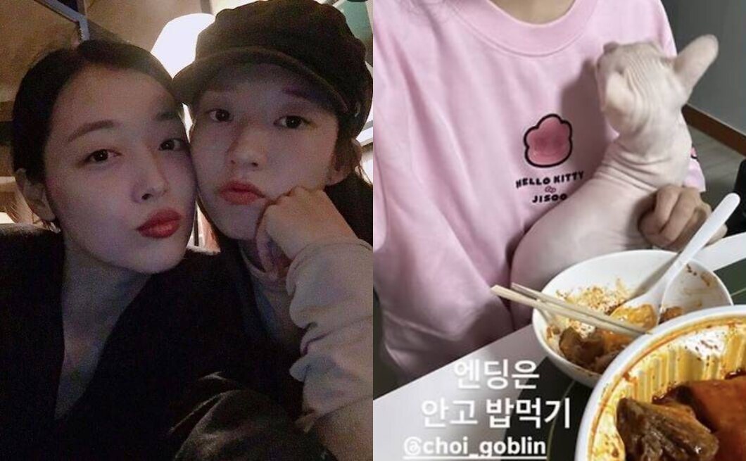 김선아, 故설리 7주기에 "여전히 너를 기억해"…딸처럼 키우던 반려묘 근황
